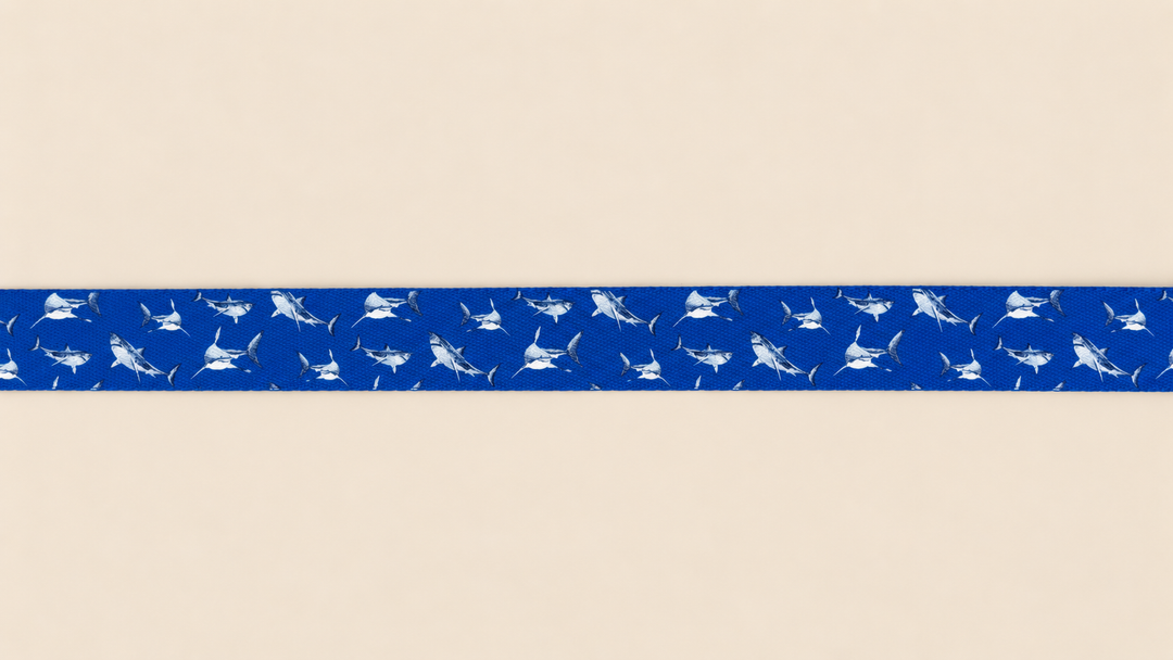 ShawnCo Dream Walk Dog Leash