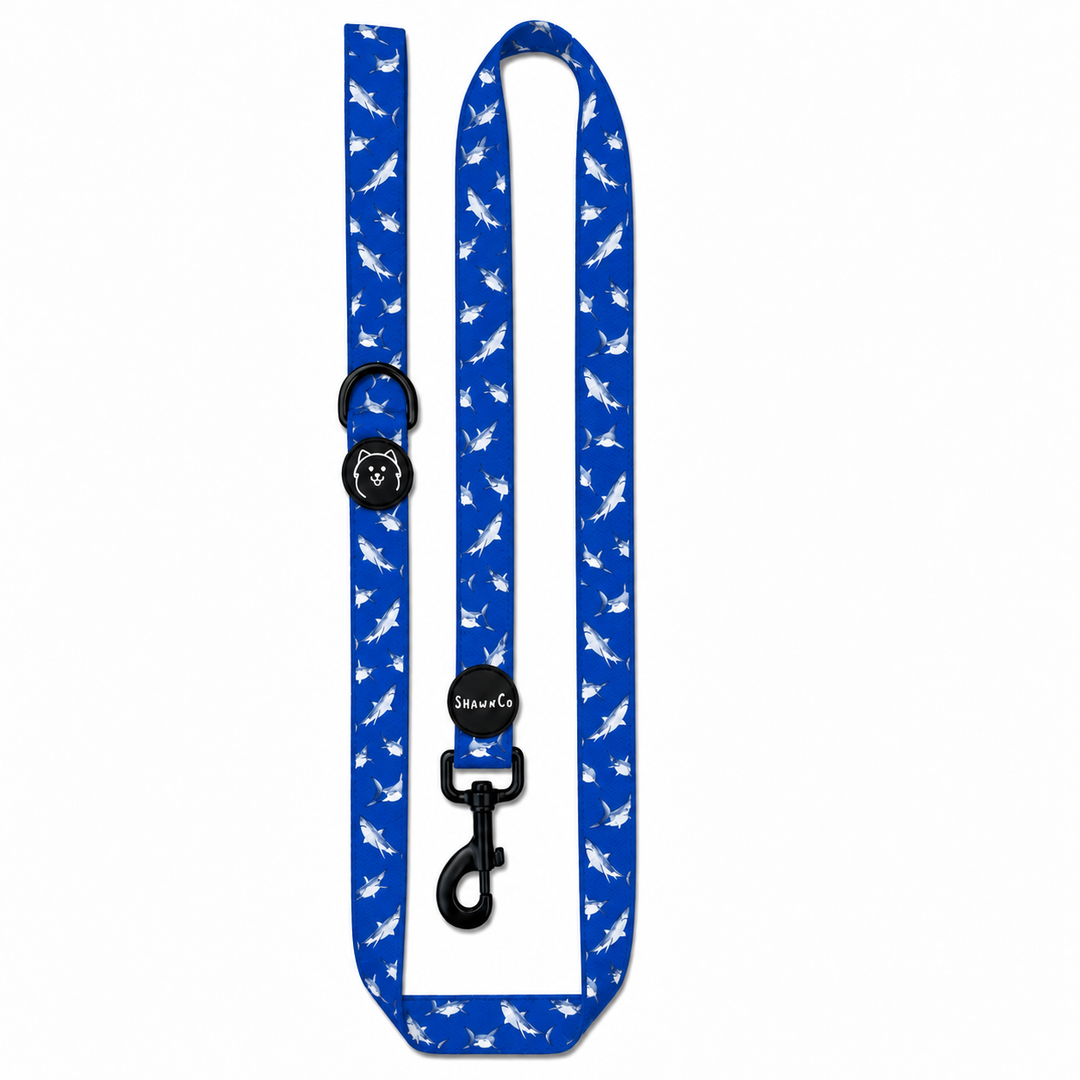 ShawnCo Dream Walk Dog Leash