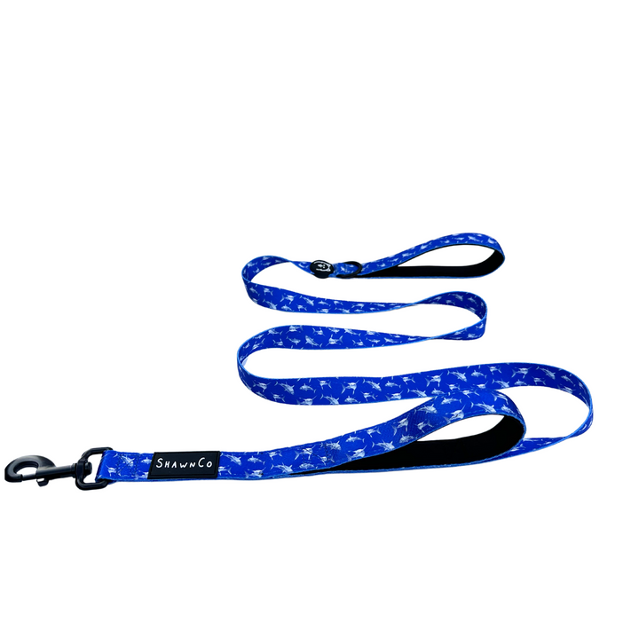 ShawnCo Dream Walk Dog Leash