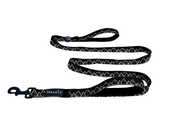 ShawnCo Dream Walk Dog Leash