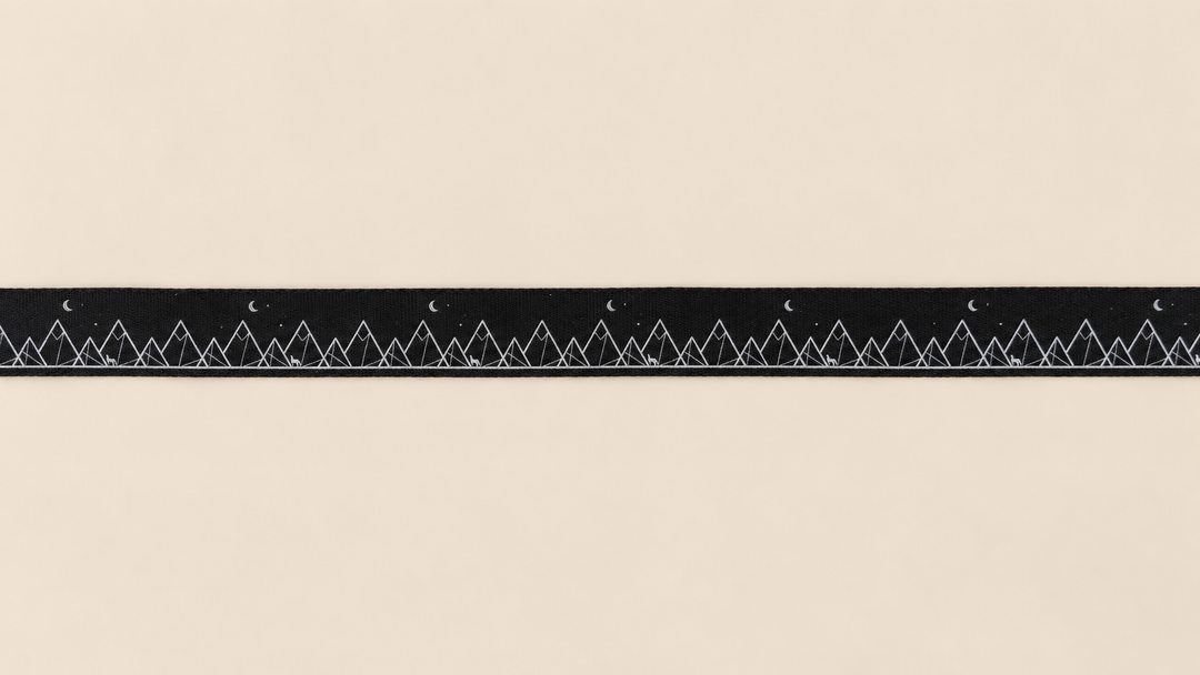 ShawnCo Dream Walk Dog Leash