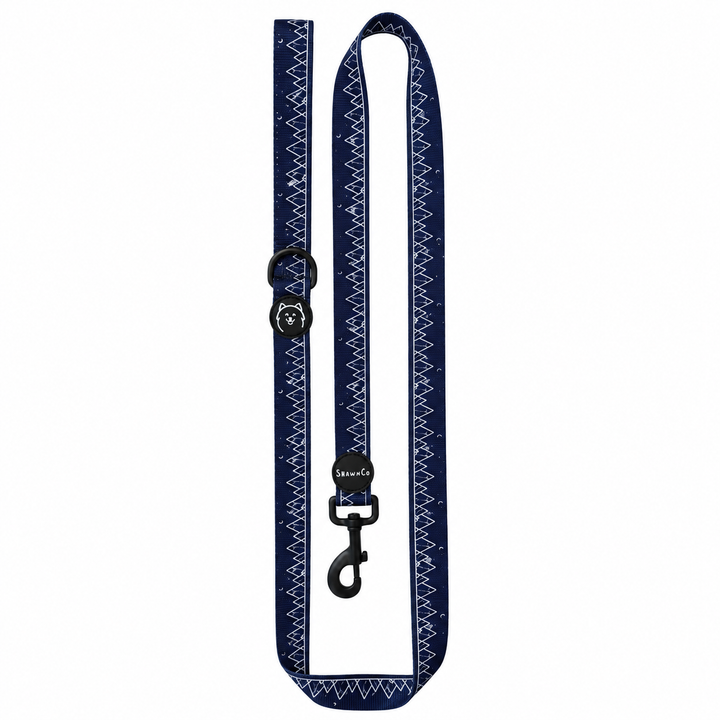 ShawnCo Dream Walk Dog Leash