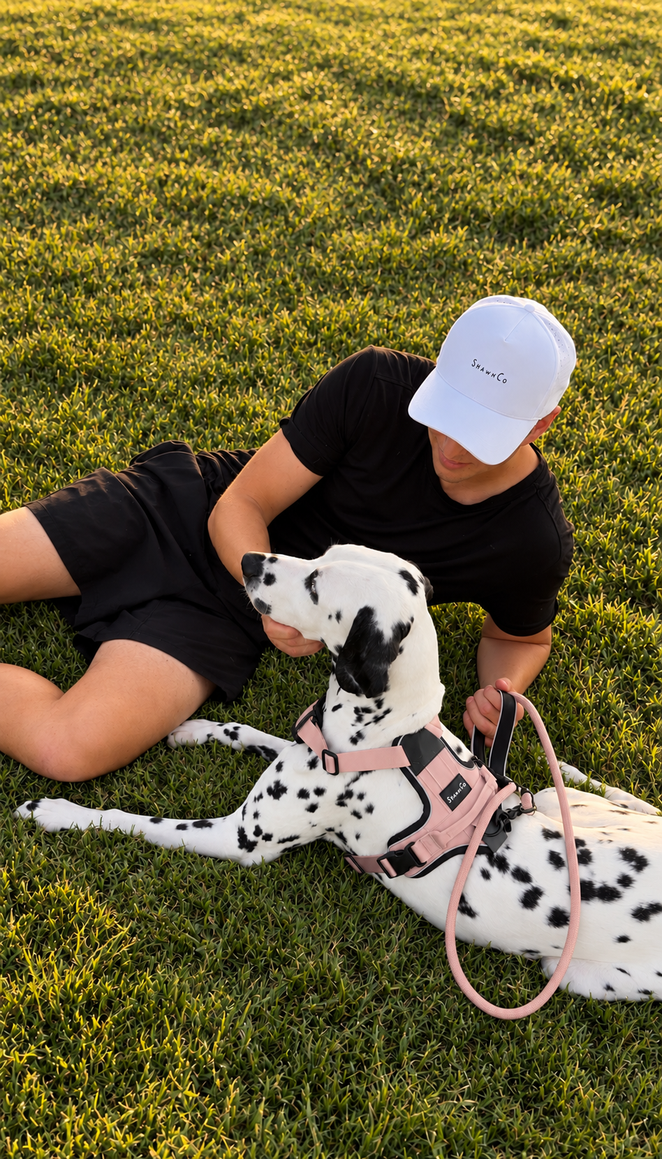 ShawnCo Basecamp Rope Dog Leash