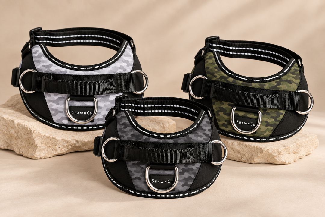ShawnCo Essential Dog Harness