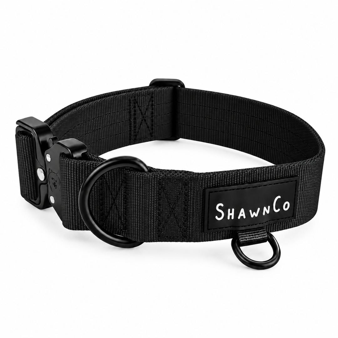 ShawnCo Basecamp Dog Collar