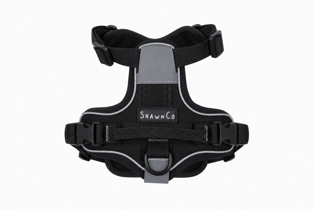 ShawnCo Basecamp Dog Harness