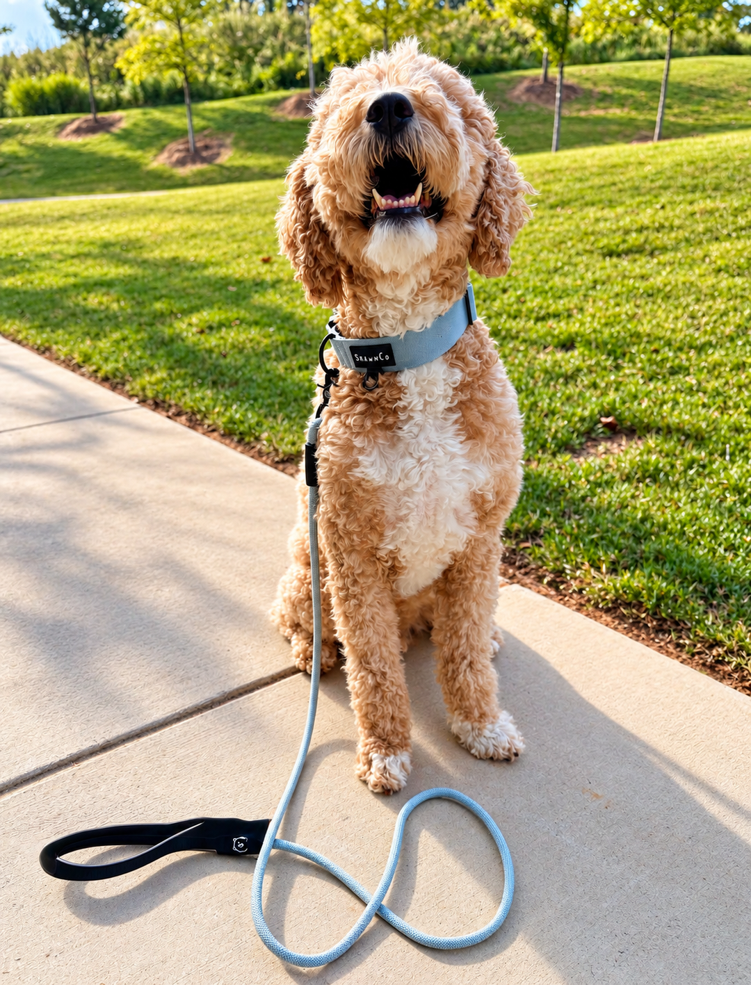 ShawnCo Basecamp Dog Collar