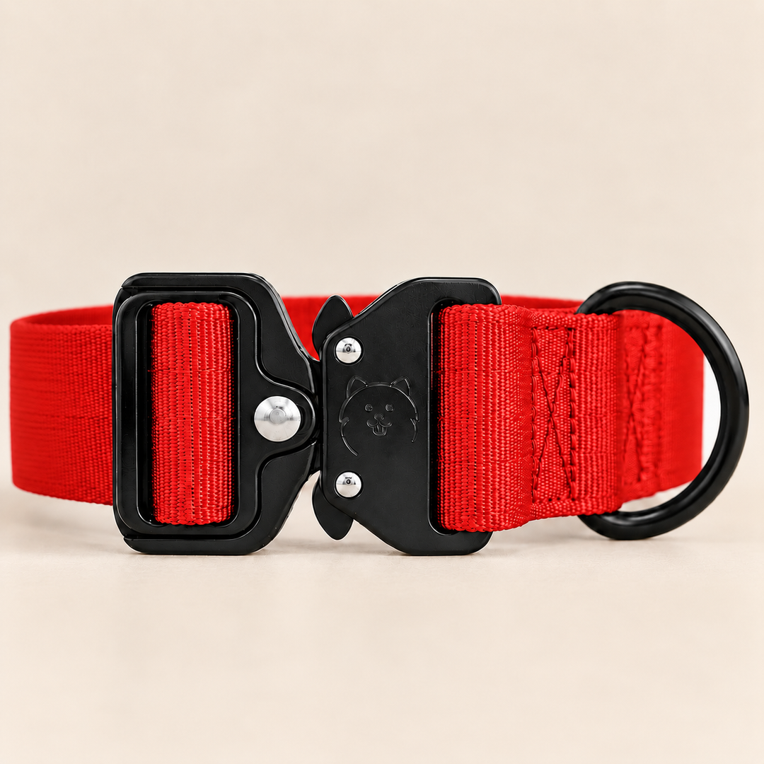 ShawnCo Basecamp Dog Collar