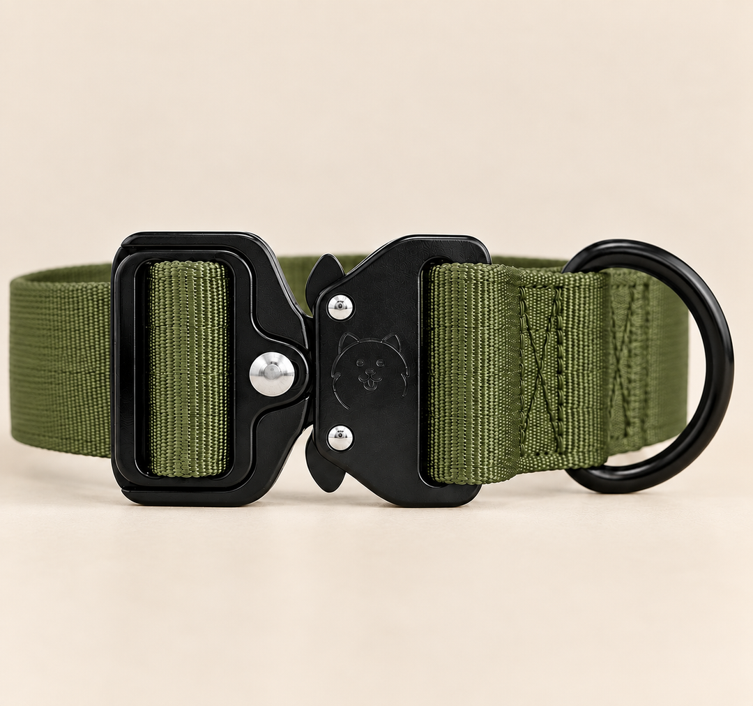 ShawnCo Basecamp Dog Collar