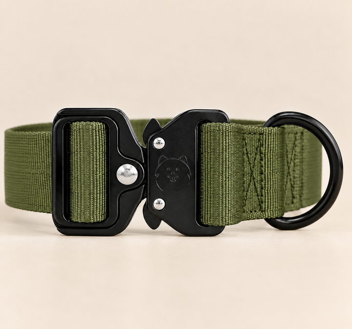 ShawnCo Basecamp Dog Collar