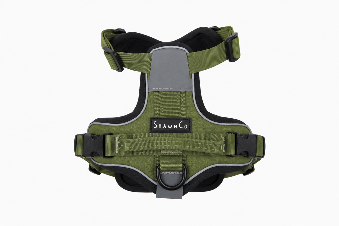 ShawnCo Basecamp Dog Harness