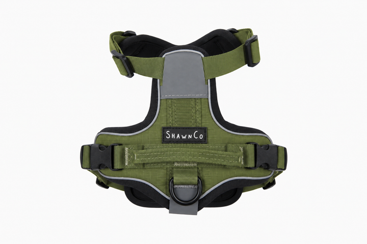 ShawnCo Basecamp Dog Harness