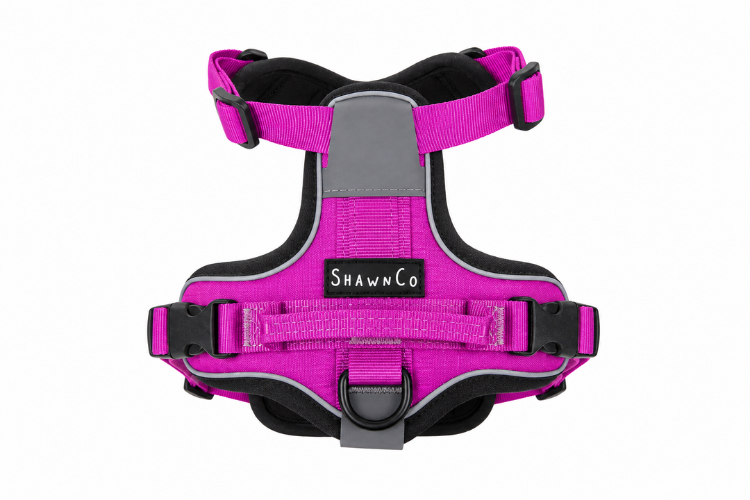 ShawnCo Basecamp Dog Harness