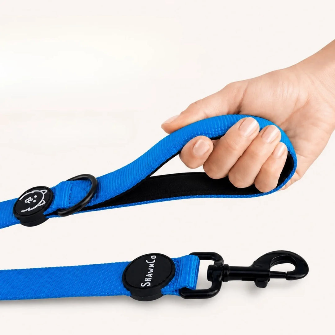 ShawnCo Dream Walk Dog Leash