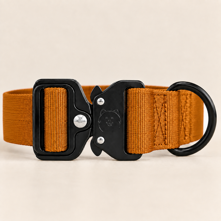 ShawnCo Basecamp Dog Collar