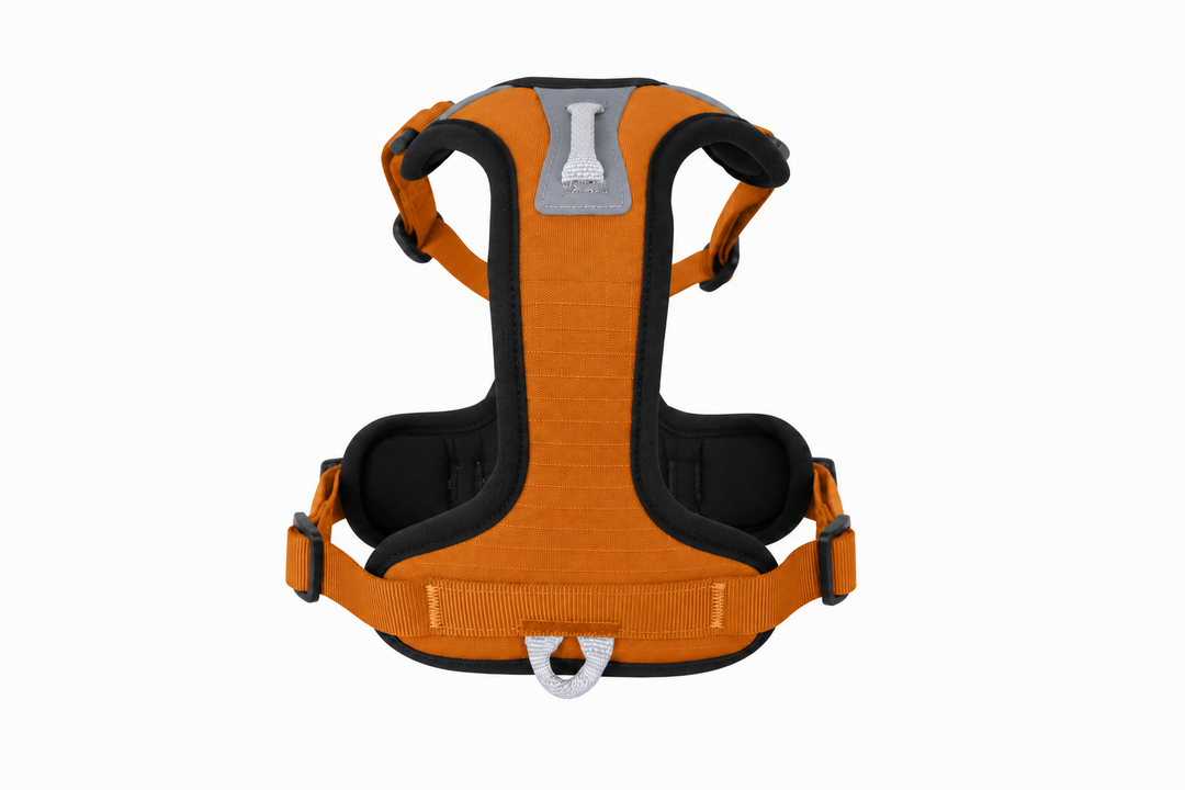 ShawnCo Basecamp Dog Harness
